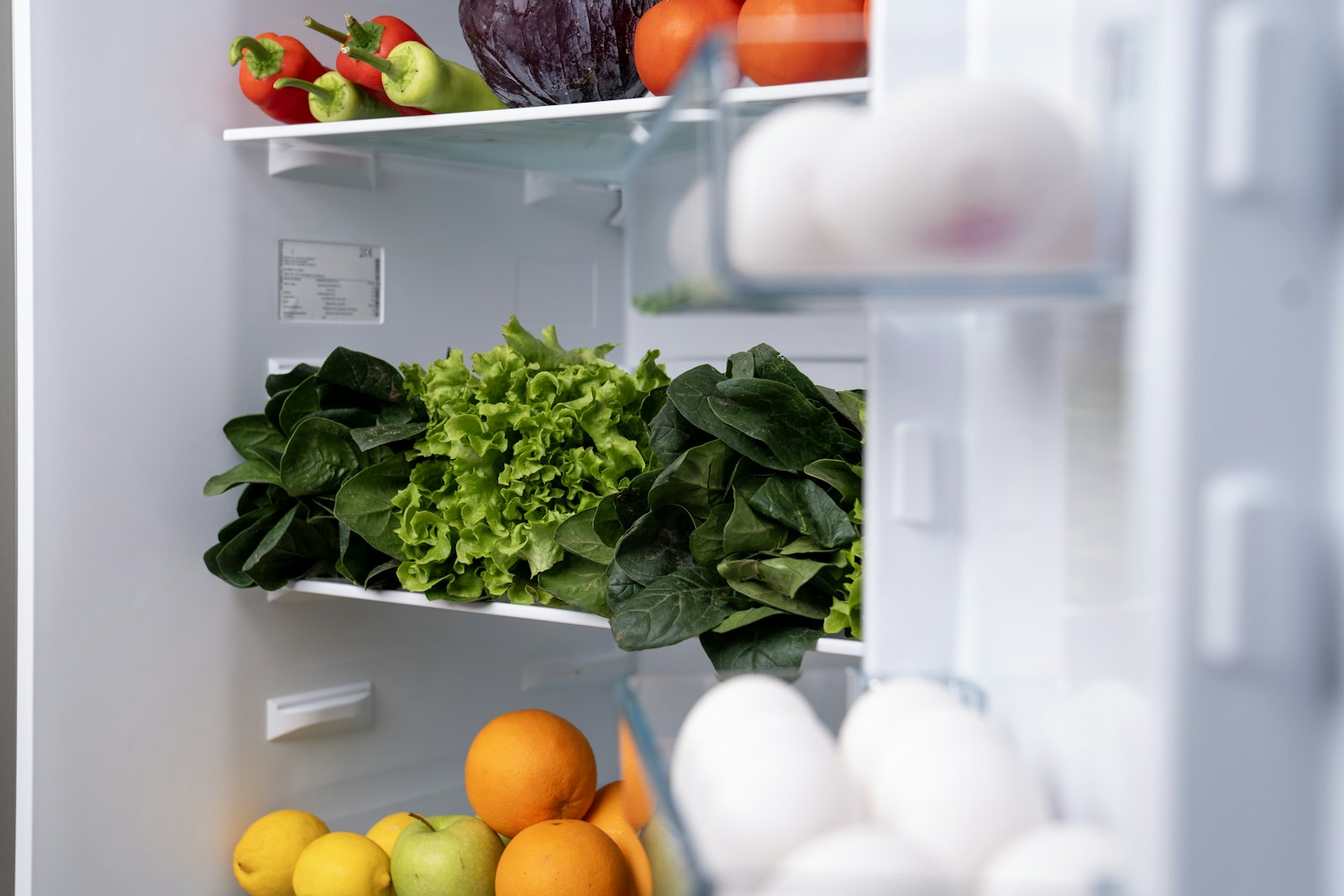 Offener Kühlschrank mit Salat, Tomaten, Paprika, Eiern und Orangen in den Fächern